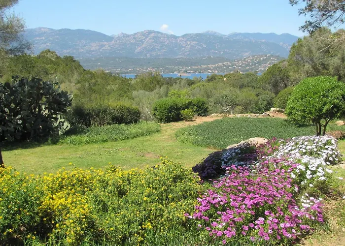 Apartment Mari Di Porto-Vecchio (Corsica)